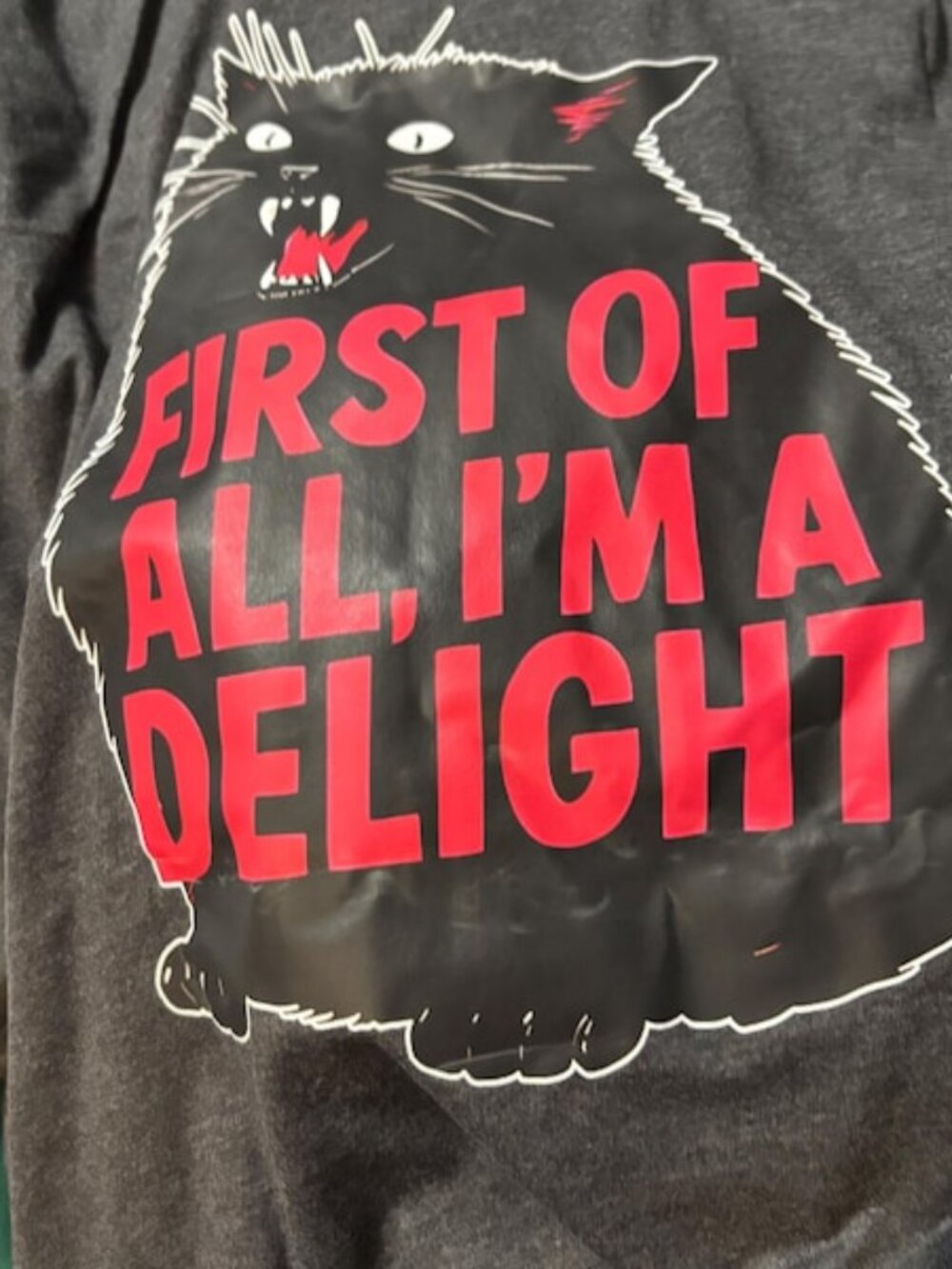 First of All I’m a Delight Funny Cat Graphic Tee - Picture 4 of 5